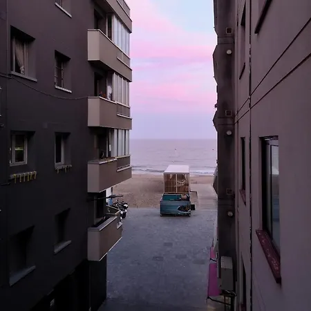 Casita Del Bot